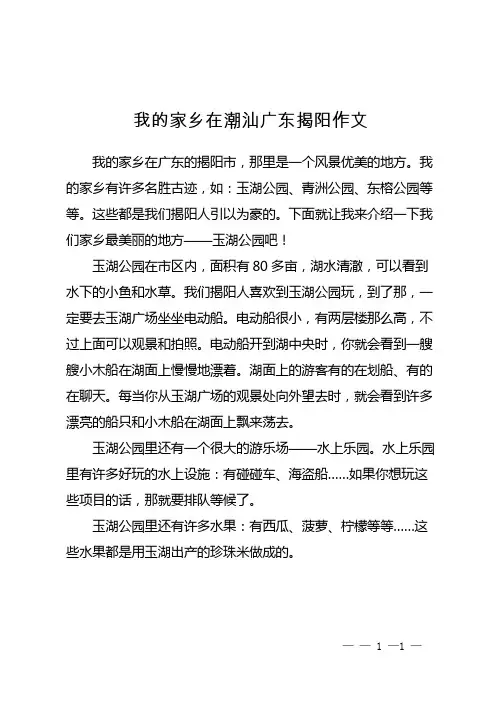 我的家乡在潮汕广东揭阳作文