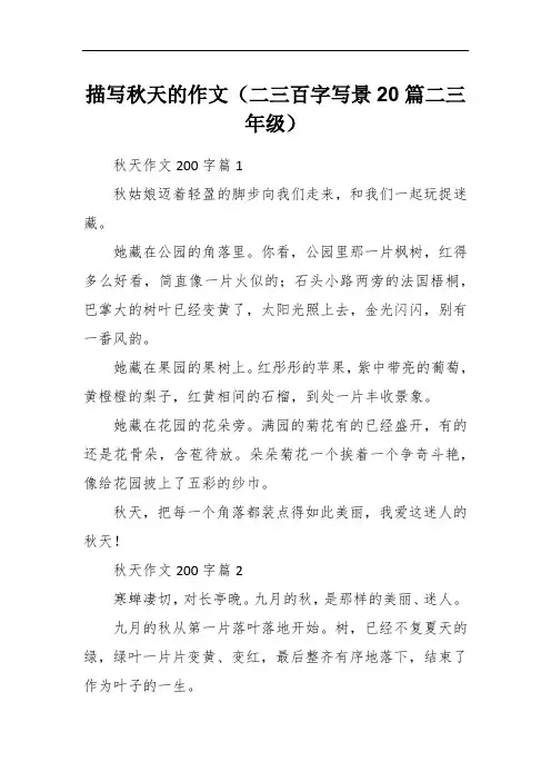 描写秋天的作文二三百字写景20篇二三年级