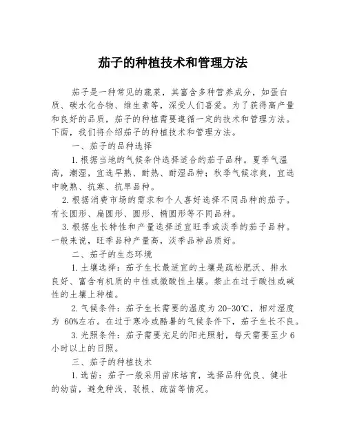 茄子的种植技术和管理方法