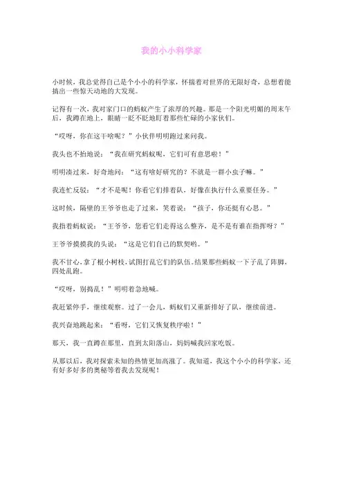 我的小小科学家