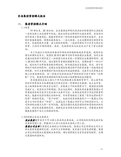 东浩集团管控模式报告.doc