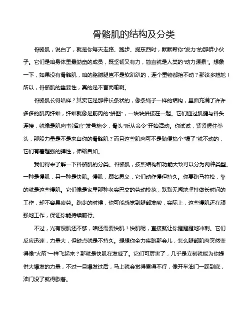 骨骼肌的结构及分类