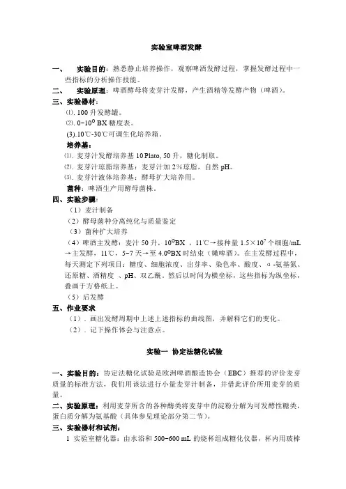 啤酒发酵实验重点讲义资料