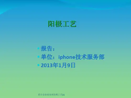 铝合金表面处理阳极工艺[1]