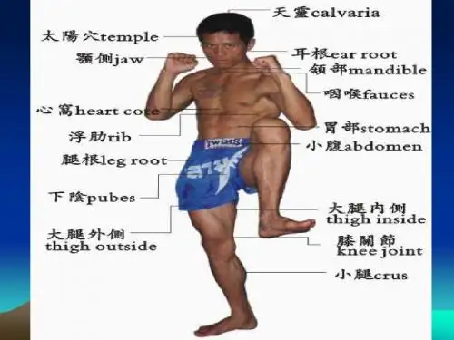 人体要害