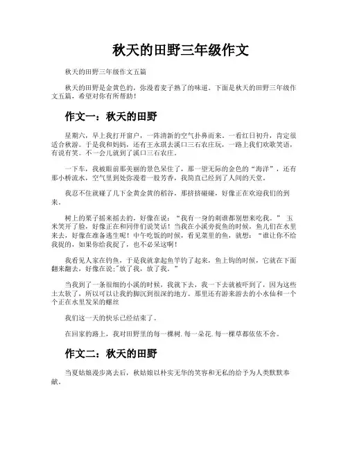 秋天的田野三年级作文