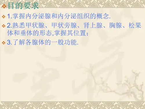 系统解剖学内分泌_PPT幻灯片