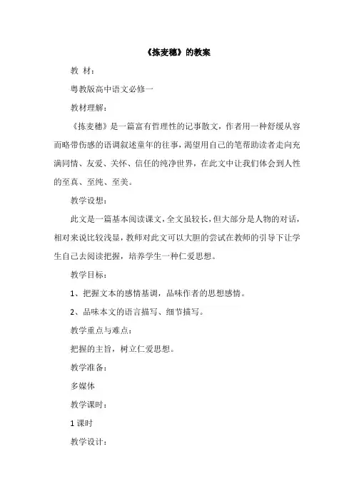 《拣麦穗》的教案精选