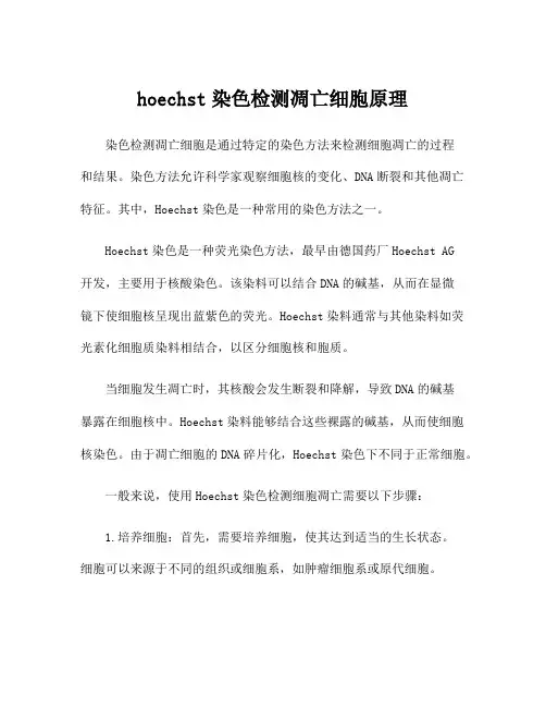 hoechst染色检测凋亡细胞原理