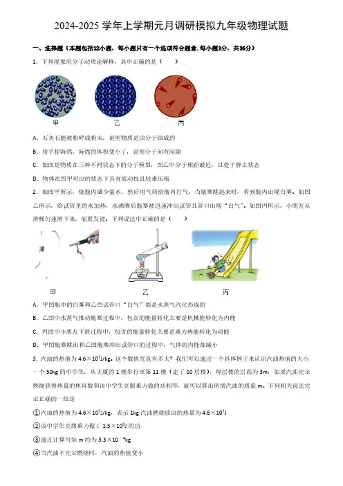 2024-2025学年湖北省武汉市九年级上学期元月调研模拟物理试题(含答案)