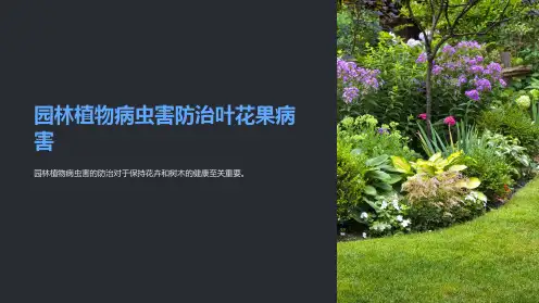 园林植物病虫害防治叶花果病害