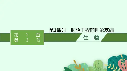 人教版高中生物学选择性必修3生物技术与工程精品课件 第2章 细胞工程 第1课时 胚胎工程的理论基础
