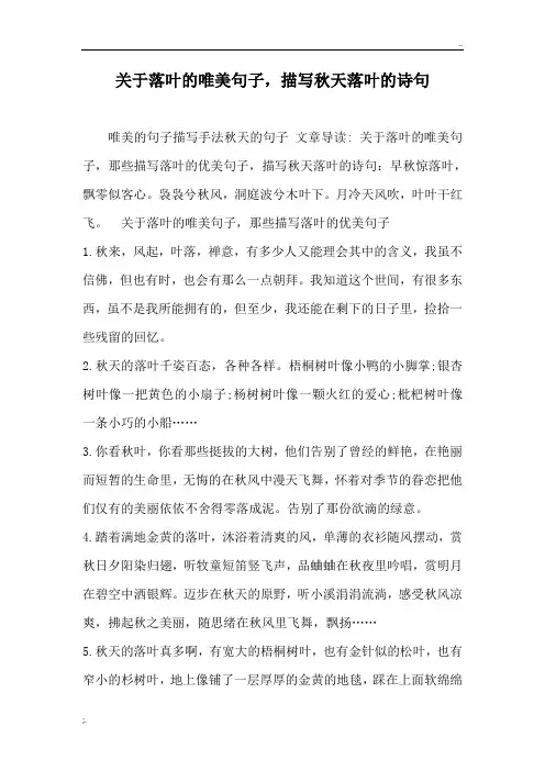 落叶的唯美诗句