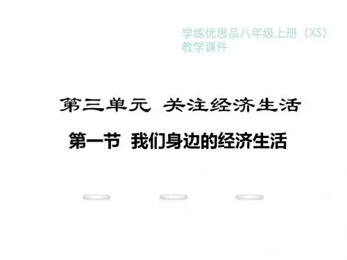 八年级政治上册(湘教版)教学课件：第三单元  关注经济