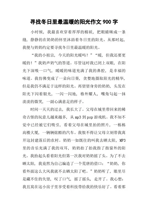 寻找冬日里最温暖的阳光作文900字