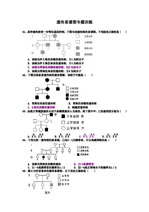 遗传图谱专题训练