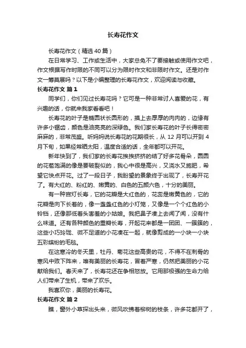 长寿花作文（精选40篇）