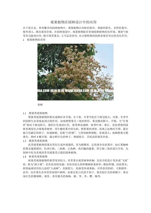 观果植物在园林设计中的应用