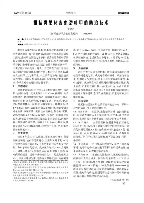 柑桔类果树害虫潜叶甲的防治技术