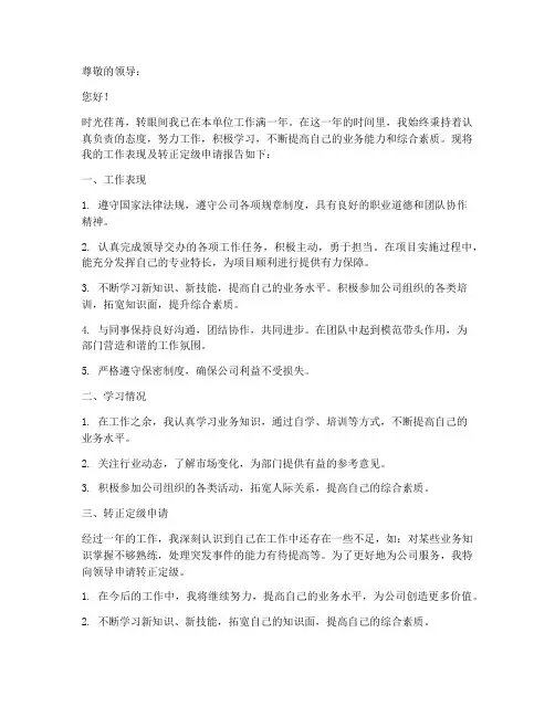 转正定级的报告