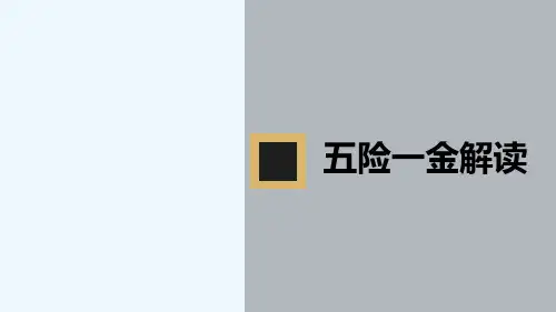 五险一金-解读-PPT
