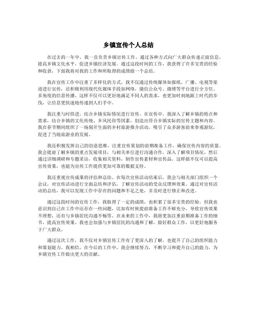 乡镇宣传个人总结