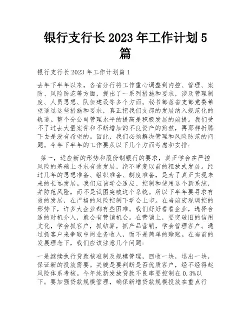 银行支行长2023年工作计划5篇