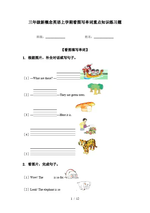 三年级新概念英语上学期看图写单词重点知识练习题