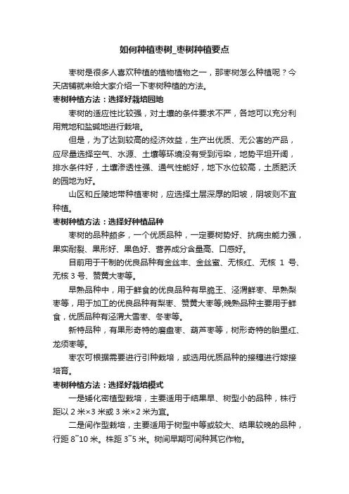 如何种植枣树_枣树种植要点