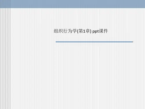组织行为学(第1章) ppt课件_