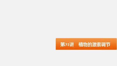 高考生物 一轮复习 第31讲 植物的激素调节