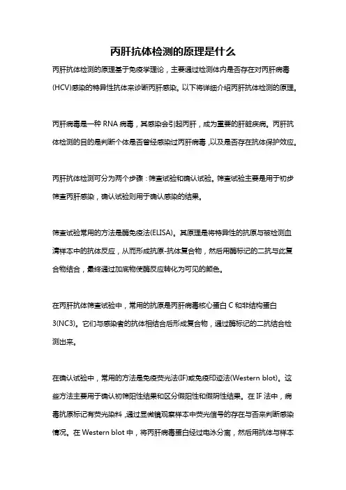 丙肝抗体检测的原理是什么