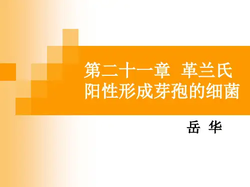 21 革兰氏阳性形成芽孢的细菌