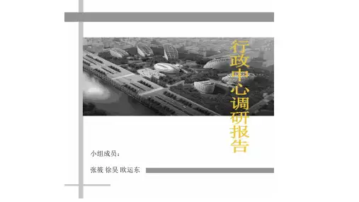 行政中心调研报告资料.