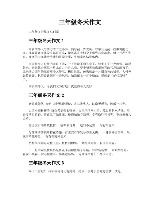 三年级冬天作文