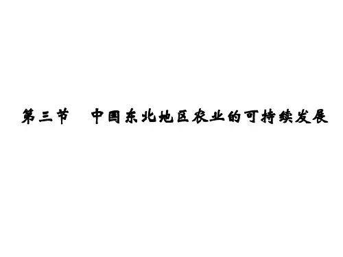 高考地理一轮复习 第十章 区域可持续发展 第三节 中国东北地区农业的可持续发展课件 中图版