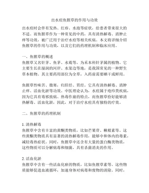 出水痘鱼腥草的作用与功效