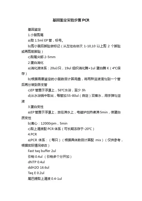 基因鉴定实验步骤PCR