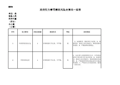 政府权力事项廉政风险点情况一览表