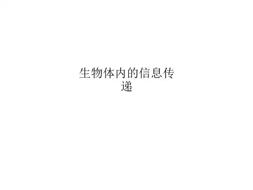 生物体内的信息传递