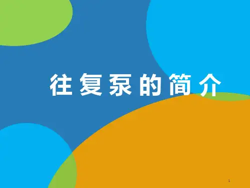 往复泵的简介ppt课件