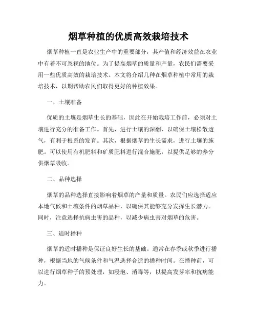 烟草种植的优质高效栽培技术