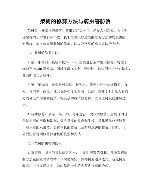 梨树的修剪方法与病虫害防治