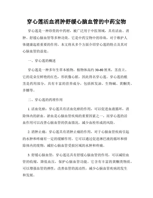 穿心莲活血消肿舒缓心脑血管的中药宝物