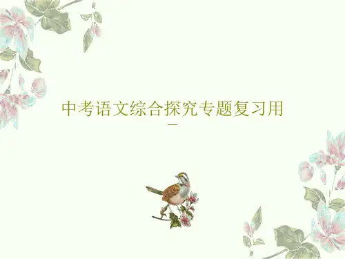 中考语文综合探究专题复习用共62页文档