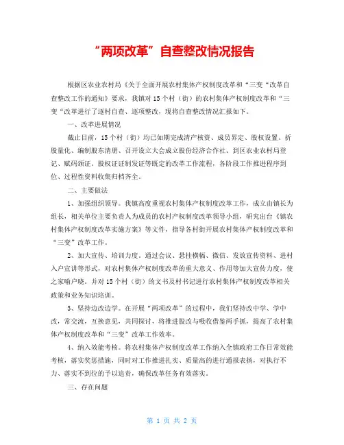 “两项改革”自查整改情况报告 