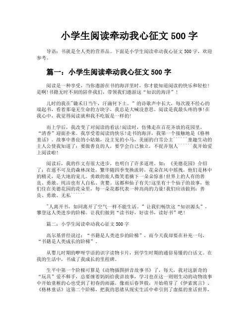 小学生阅读牵动我心征文500字