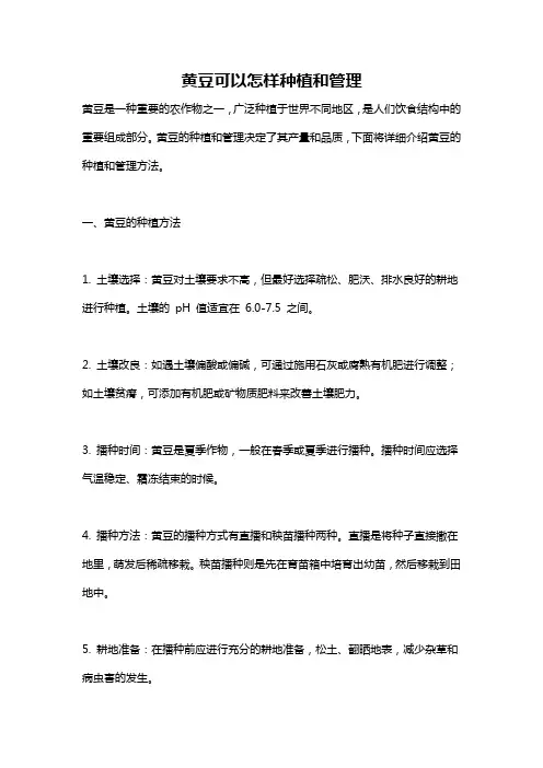 黄豆可以怎样种植和管理