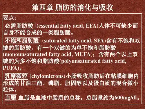 脂类消化与吸收PPT课件