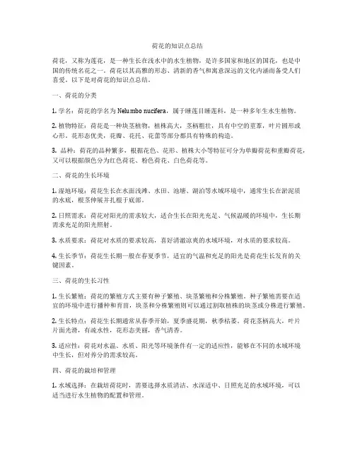 荷花的知识点总结